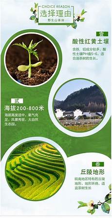 传奇sf发布网999!游戏中不仅拥有各种福利奖励福利还有各种紧张刺激的